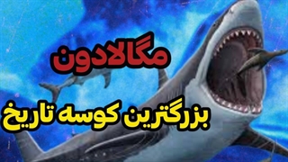 مگالادون کوسه ای مرگبار