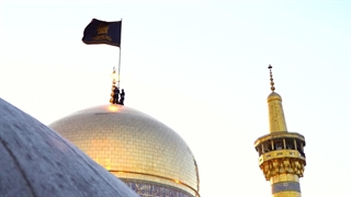 این آغاز دلدادگی‌هاست ...