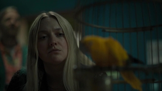 دانلود فیلم The Watchers 2024