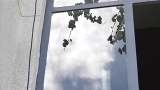 کافه کتاب های مشهد