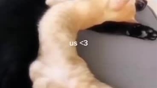 کیوتا:))) کپشن!