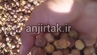 قیمت انجیر ریز مخصوص شیره و مربا ارزان انجیر تک