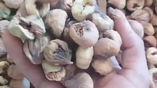 انجیر ترشه صنعتی ارزان درجه 3