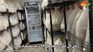 اتاق انکوباسیون قارچ