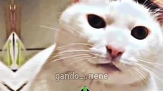 اصلا عالی...