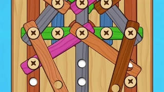 Wood Nuts Screw Puzzle Level 5