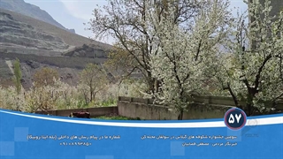 باغ گیلاس درسولقان