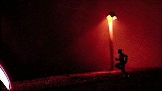 Martin Stig Andersen - rabbit at the airport IV - the finish line (2009)