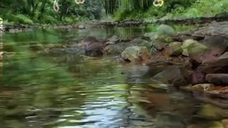 ویدیو کلیپ بهشت امام حسین و حضرت ابوالفضل علیه السلام