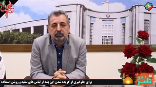 توضیحات در مورد پشه آئدس