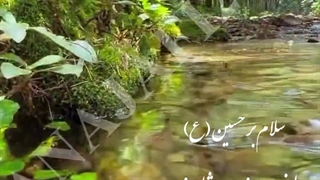 زلال دریای بهشتی سید الشهداء