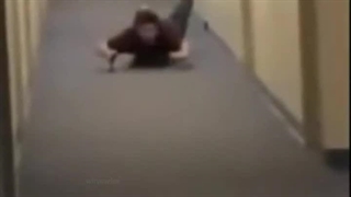 یک روز INTP و ENTP: