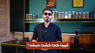 قهوه کجا کشت میشود؟