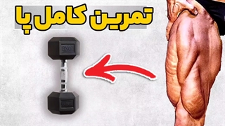 تمرین کامل پا با 3 حرکت فقط دمبل | شناخت عضلات پا و کارکرد و تمرینات هر بخش