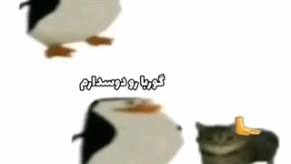 تو یک شخص دیوانَه ایی