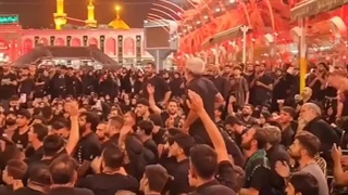 تموم مردم دنیا مارو می خونن دیونه .. جواد ذاکر