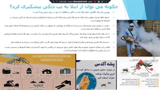 همه چیز درباره تب دنگی