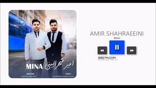 امیر شهرآیینی مینا بررسی لک صورت