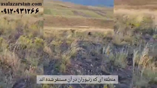 خرید و قیمت عسل کوهی