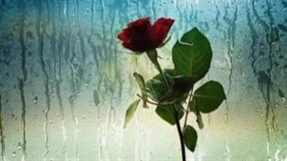 اهنگ دلم گرفته ازامین رستمی تقدیم به  هلما جونم کپ