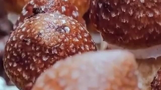 کلینیک کمپ ترک اعتیاد پیام تندرستی تهران