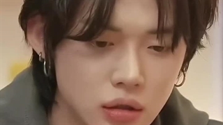 شوچیتا و تی اکس تی