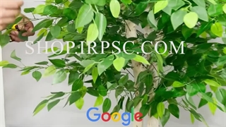 خرید درختچه مصنوعی بنجامین | فروشگاه ملی