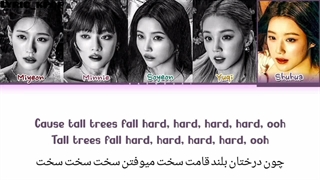 لیریک آهنگ tall Tree جی آیدل با زیر نویس فارسی