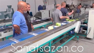 بسته بندی بهداشتی صیفیجات