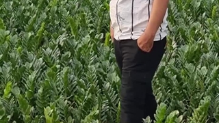 فروشگاه آنلاین گل و گیاه آپارتمانی