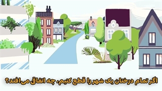اگر تمام درختان یک شهر را قطع کنیم، چه اتفاقی میافتد؟
