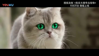 تریلر سریال چینی من یک حیوان خانگی در معبد دالی هستم I'm a Pet At Dali Temple (معرفی) کپشن