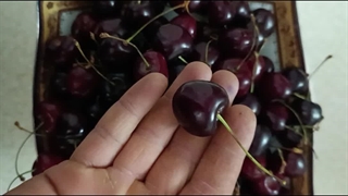 گیلاس اشنویه