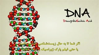 دی‌ان‌ای چیست؟