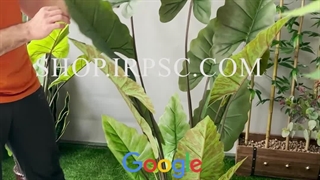 خرید درختچه مصنوعی بابا آدم 160 سانتی‌متر | فروشگاه ملی