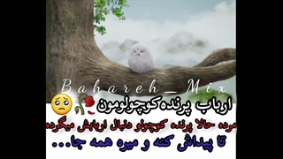 ᯽⊱┈──╌❊╌──┈⊰᯽⊱میکس سریال⊱برای همیشه از دستت دادم لایک یادت نره خوشگل من برای دیدن میکس های جذاب بیشتر❀بهاره میکس❀رو دنبال کنید❤