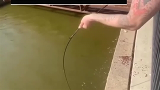 تجربه یه تازه مسلمان