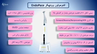 روتاری وودپیکر endo pace