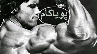 مستند آرنولد - 2