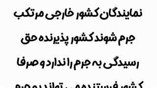 مصونیت سیاسی به چه معناست؟
