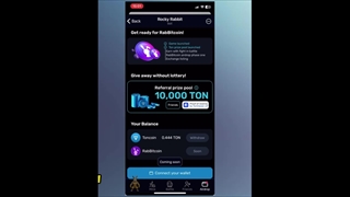 بازی راکی ربیت چگونه است؟