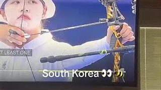 وقتی یک زنبور مانع از کسب مدال المپیک تیرانداز کره جنوبی می شود!