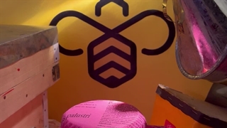 خواص عسل گشنیز علی بابا