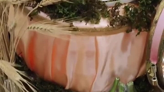 هتل هما بندرعباس