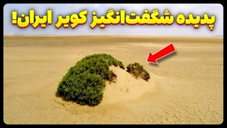 پدیده‌ ای شگفت انگیز در دل کویر ایران!