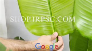 خرید درختچه مصنوعی پرنده بهشتی برگ پهن | فروشگاه ملی