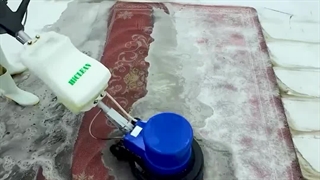 بهترین قالیشویی های رشت