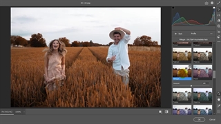 افزونه های رنگ و نور