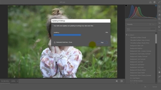 پریست های کمرا راو