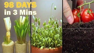 مجموعه تایم لپس زیبا ۹۸ روز در 3 دقیقه